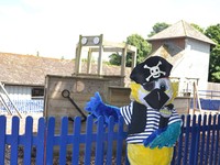 Pirate Outdoor Play